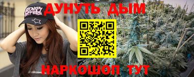 гашик Новокубанск