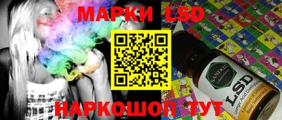 гашик Новокубанск