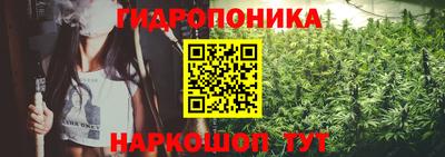 мдма Новозыбков