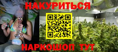 прущие крисы Новодвинск