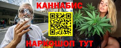 гашик Новокубанск
