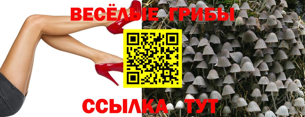 Семилуки  Галлюциногенные грибы Psilocybine cubensis  Вход с VPN 